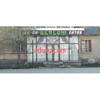 Шторы, карнизы - Berloni