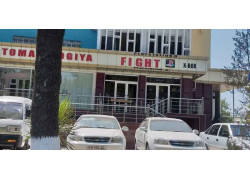 Игровые приставки - Fight