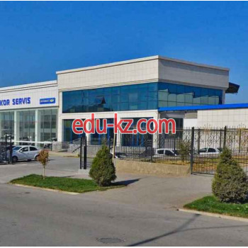 Безалкогольные напитки оптом - Samarkand Trading Group