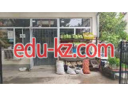 Магазин продуктов - Sada market