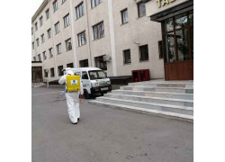 Дезинфекция, дезинсекция, дератизация - Dezinfeksiya-master