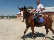 Рынок - Ипподром Рынок - Ипподром