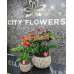 Доставка цветов и букетов - City flowers