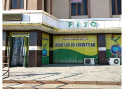 Искусственные растения и цветы - Fito