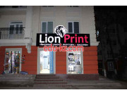 Фотоуслуги - Lion print